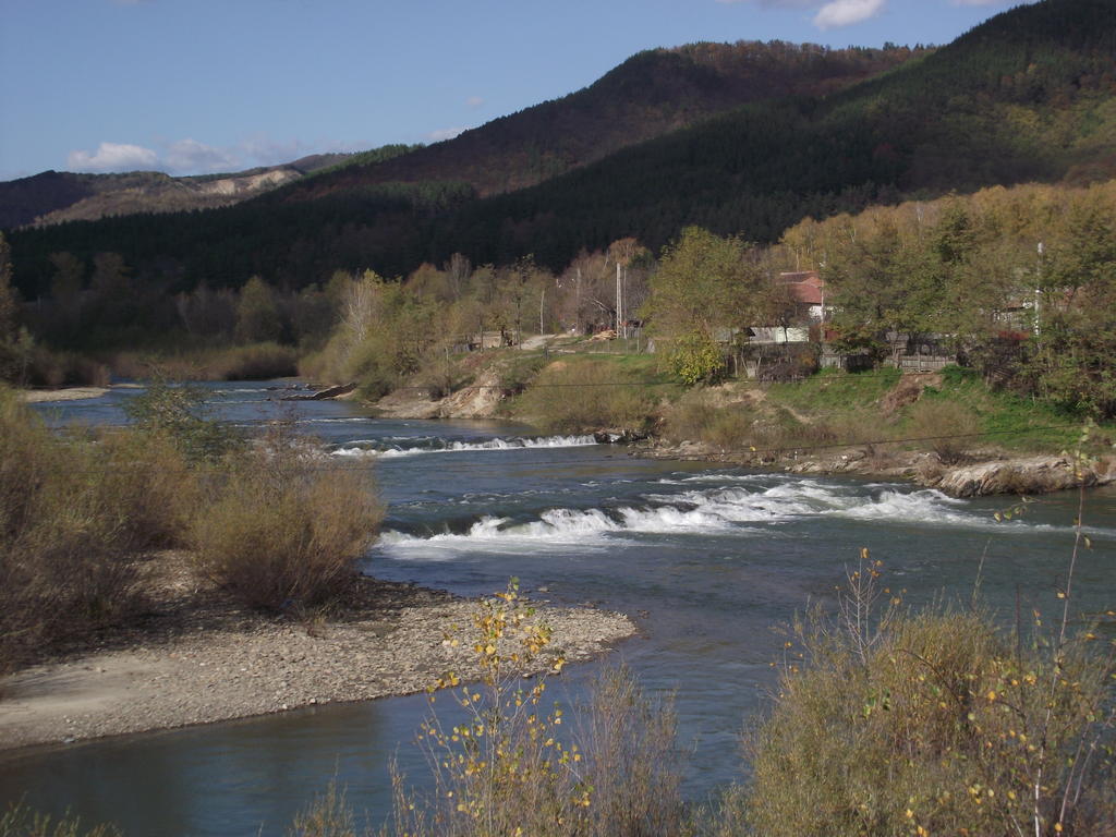 Pensiunea Valea Lupului Valea Lupului  Exterior photo