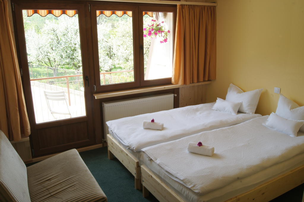 Pensiunea Valea Lupului Valea Lupului  Room photo