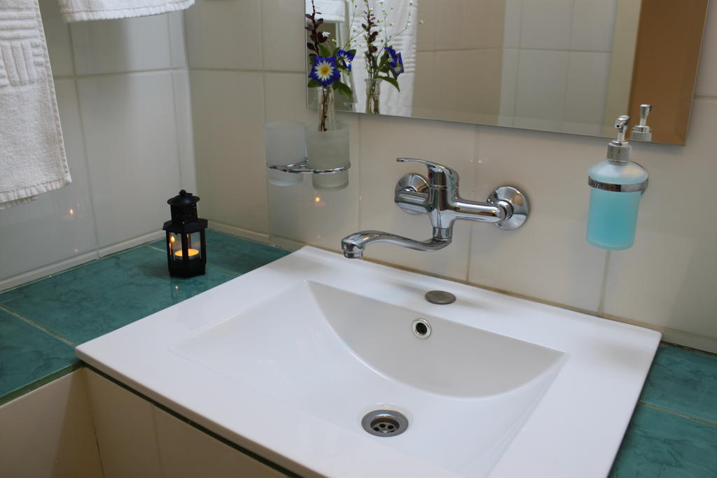 Pensiunea Valea Lupului Valea Lupului  Room photo